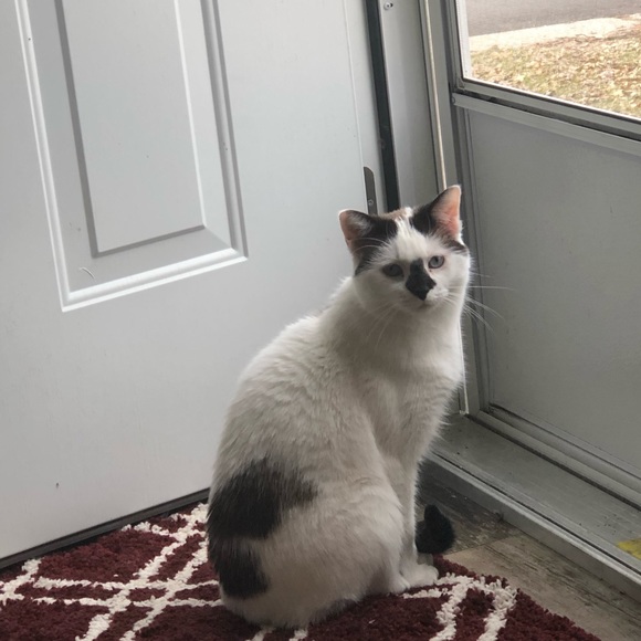 Meet your Posher, Kim - Picture 1 of 1